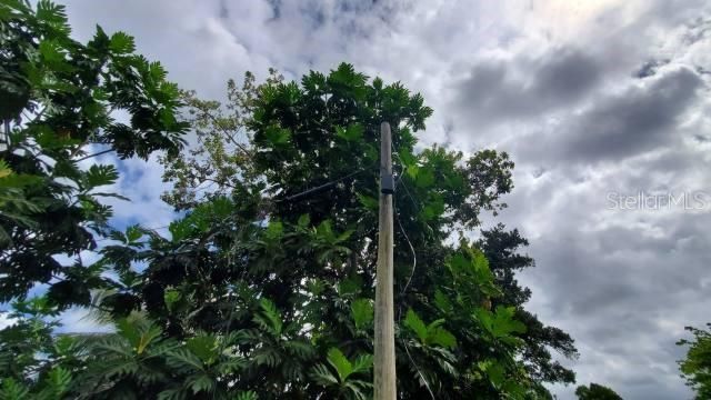 For Sale: $400,000 (37.00 acres)