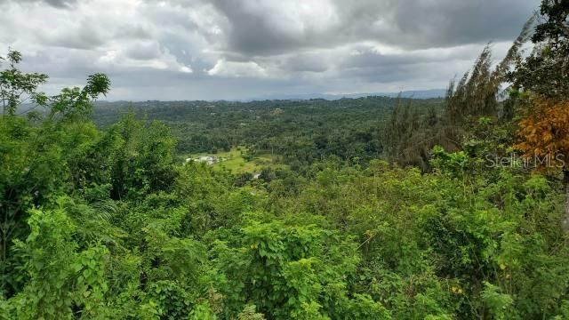 For Sale: $400,000 (37.00 acres)