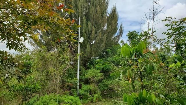 For Sale: $400,000 (37.00 acres)