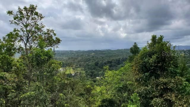 For Sale: $400,000 (37.00 acres)