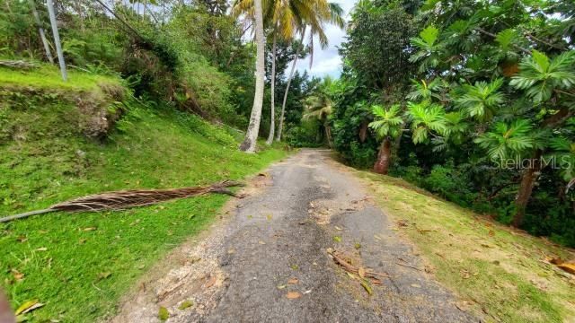 For Sale: $400,000 (37.00 acres)