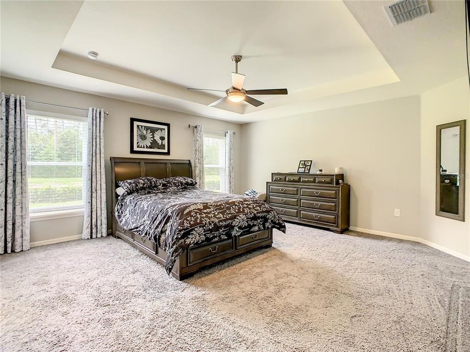 Welcome to the Master Bedroom - notice the trey ceiling and beautiful natural light