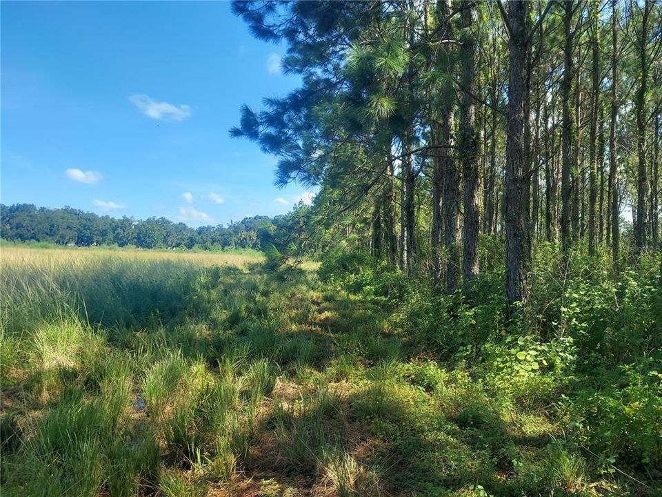 Recently Sold: $2,250,000 (33.00 acres)