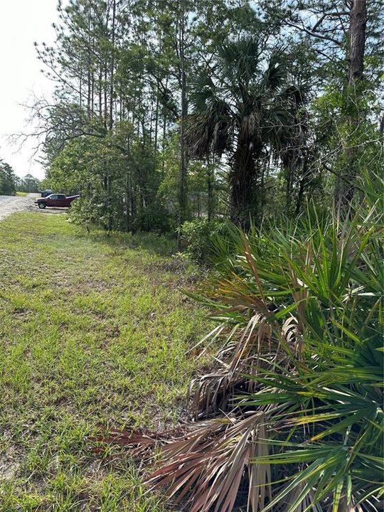 Active With Contract: $32,979 (0.46 acres)