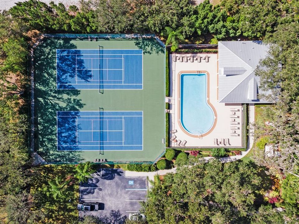 Community Courts and Pool