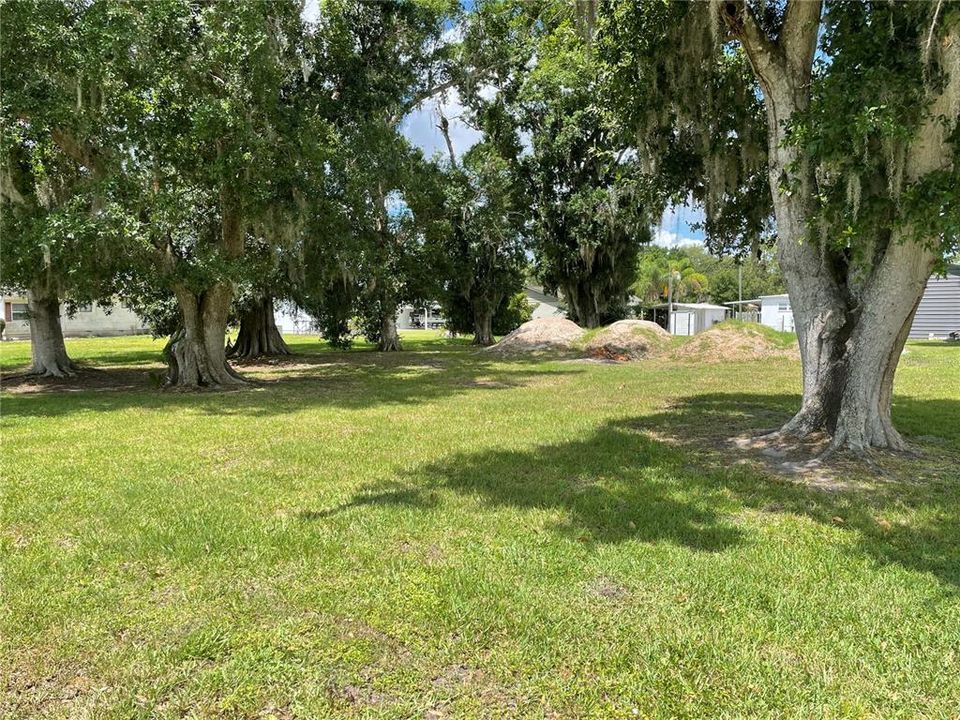 Recently Sold: $35,000 (0.29 acres)