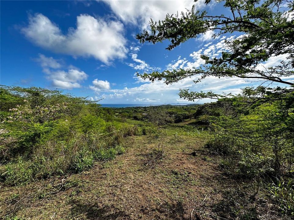 Recently Sold: $135,000 (2.00 acres)