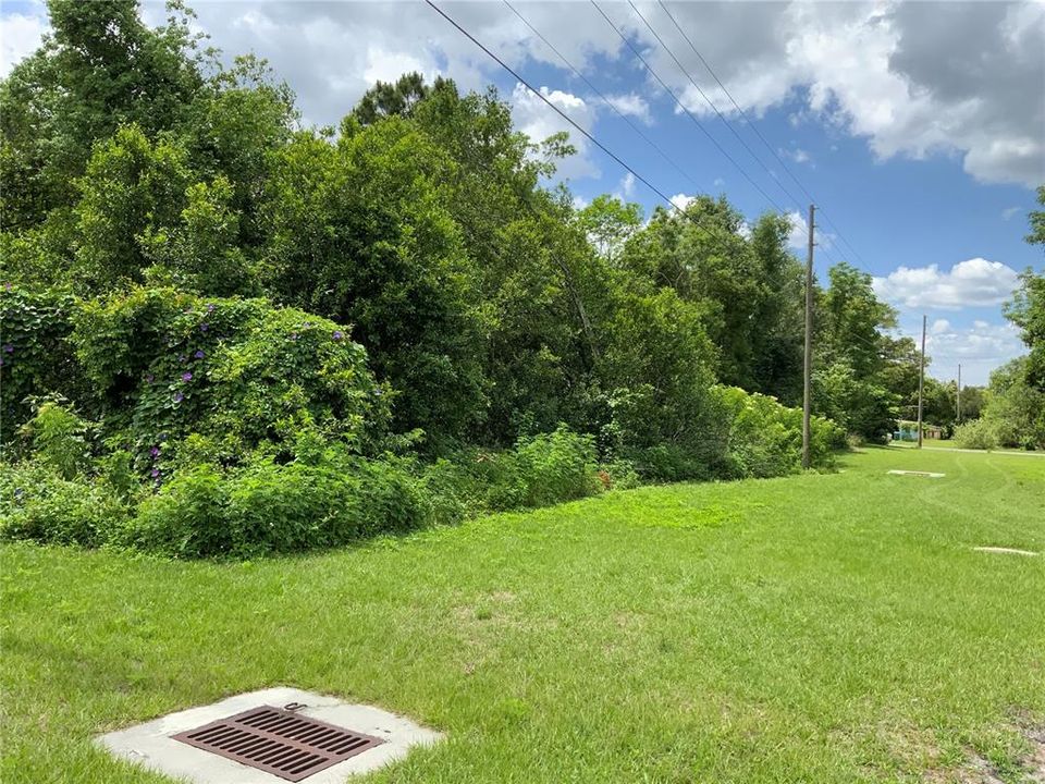 Edge of Property on Left - Depth is Approx. 121 Feet