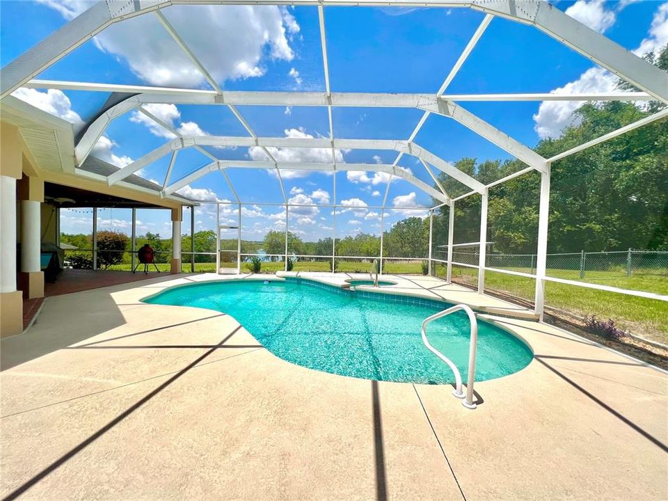 Free form, screen enclosed pool