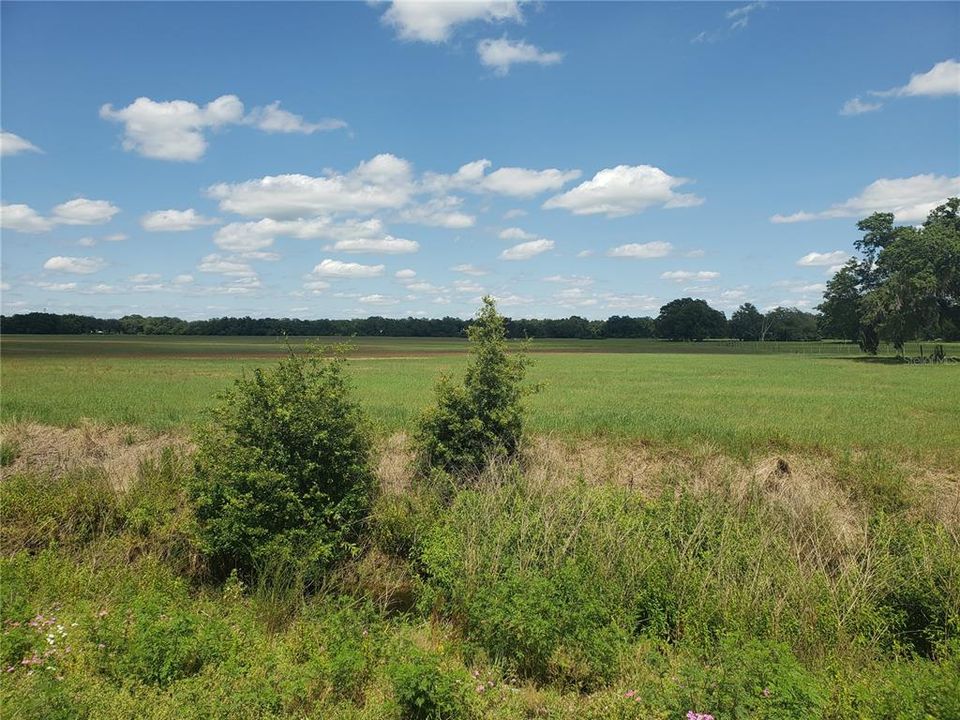 Recently Sold: $7,500,000 (344.00 acres)