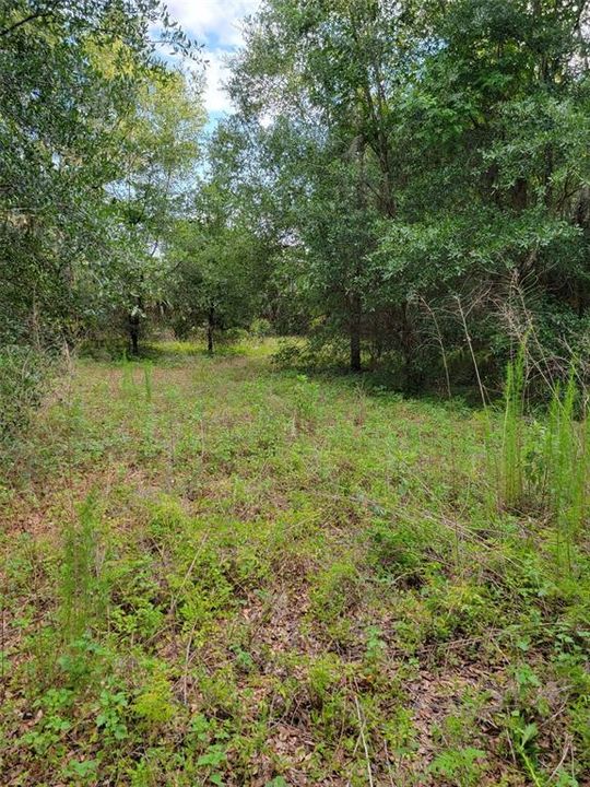 Recently Sold: $52,900 (1.00 acres)