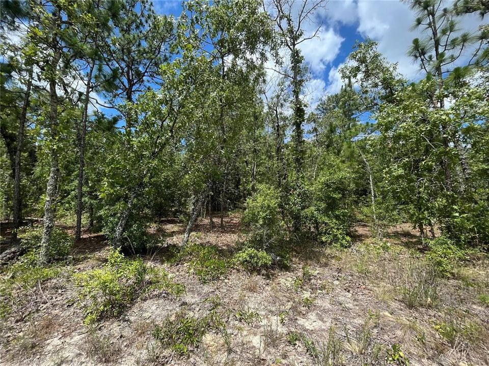 Recently Sold: $8,500 (0.34 acres)