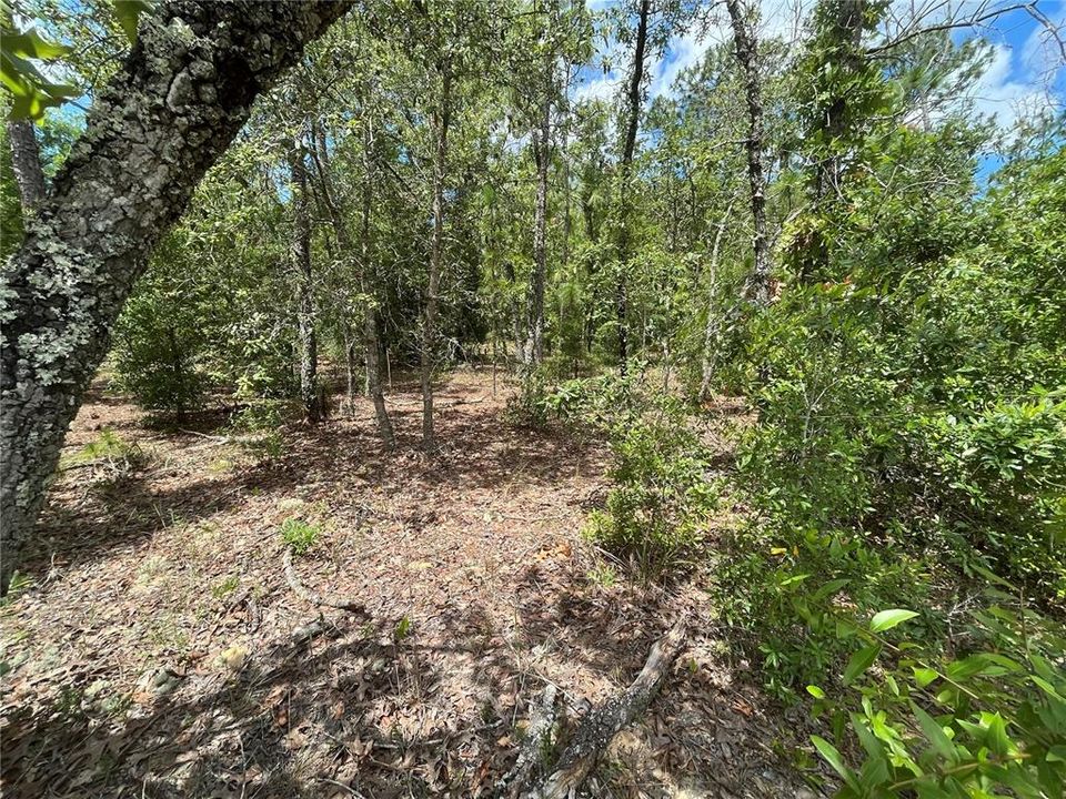 Recently Sold: $8,500 (0.34 acres)