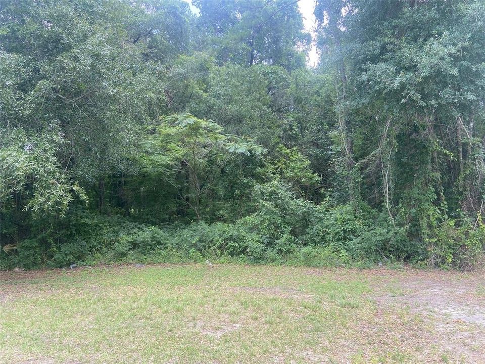 Active With Contract: $95,000 (1.95 acres)