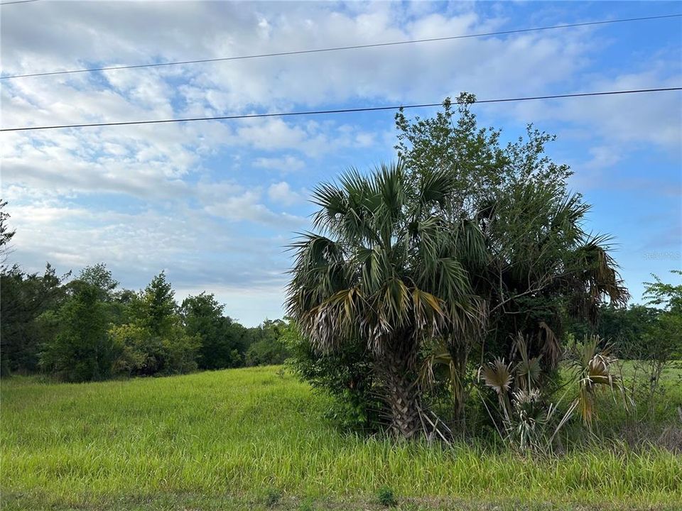 Recently Sold: $60,000 (1.10 acres)