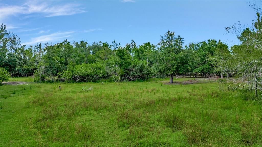 Recently Sold: $169,000 (5.00 acres)