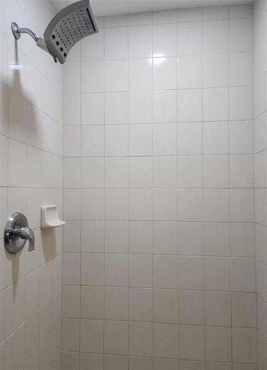 Master shower wall.