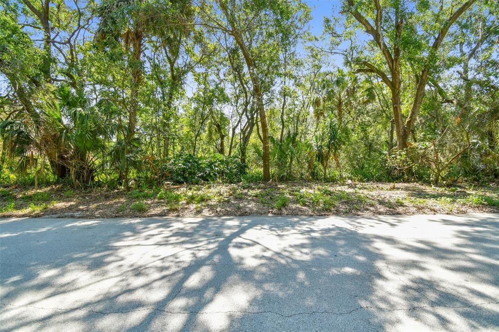 Recently Sold: $110,000 (0.34 acres)