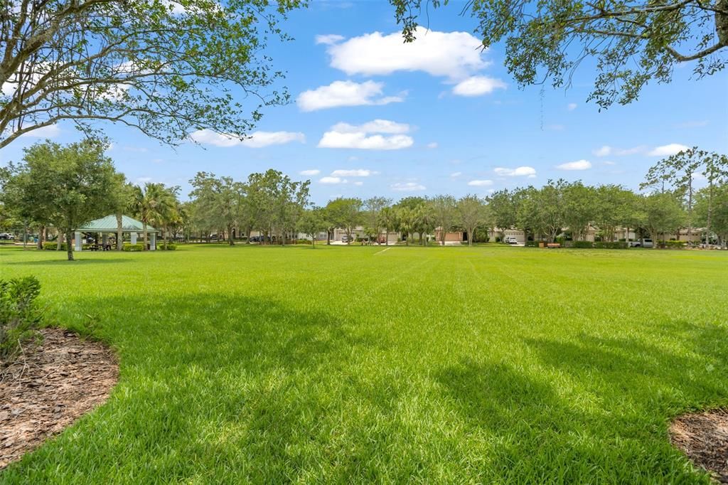 View of Park & Field across the street