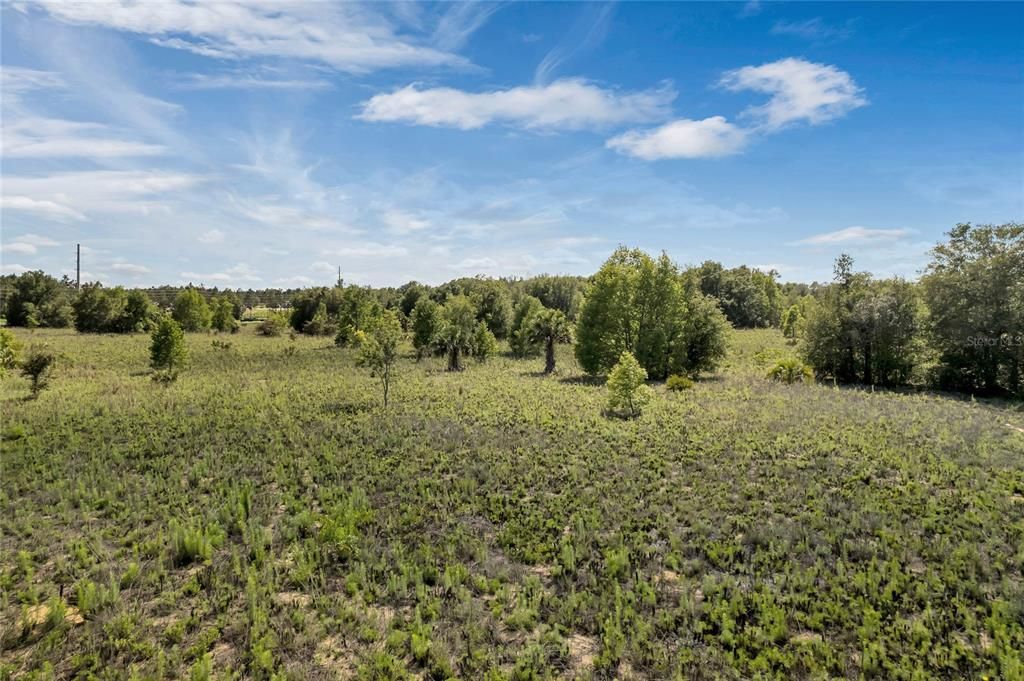 На продажу: $950,000 (18.50 acres)