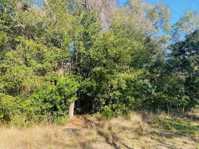 Recently Sold: $9,000 (0.24 acres)