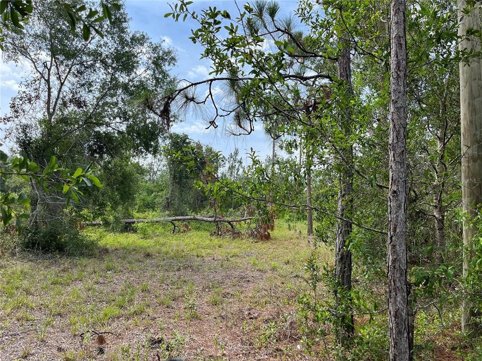 Recently Sold: $179,000 (4.80 acres)