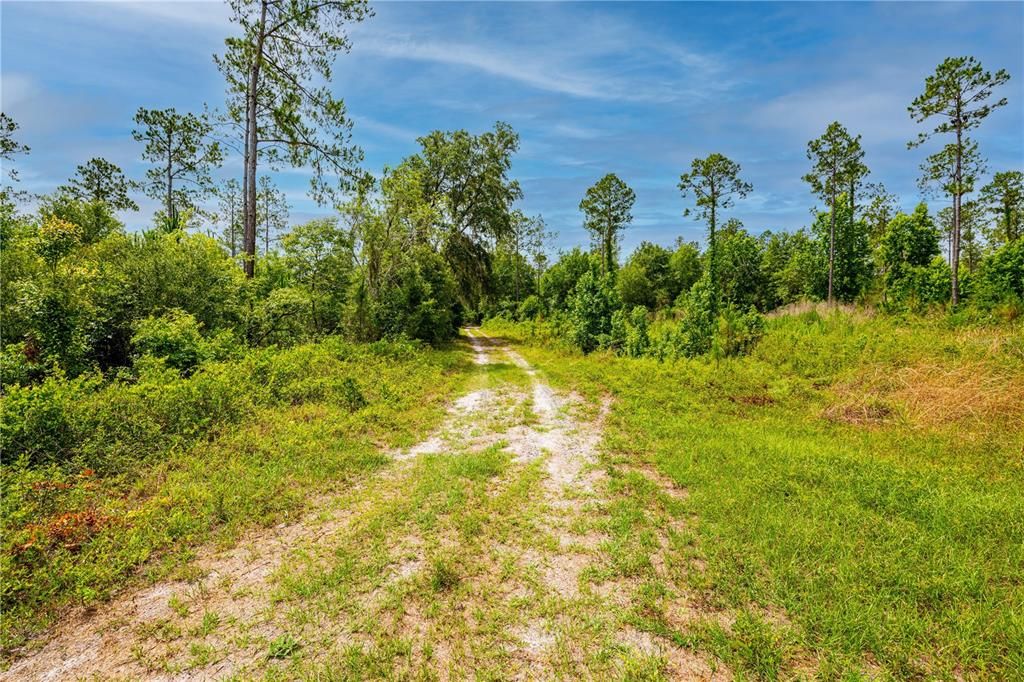 Recently Sold: $249,000 (25.95 acres)