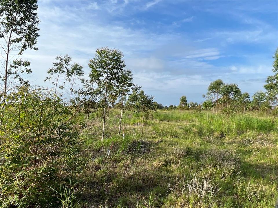 Recently Sold: $300,000 (20.10 acres)