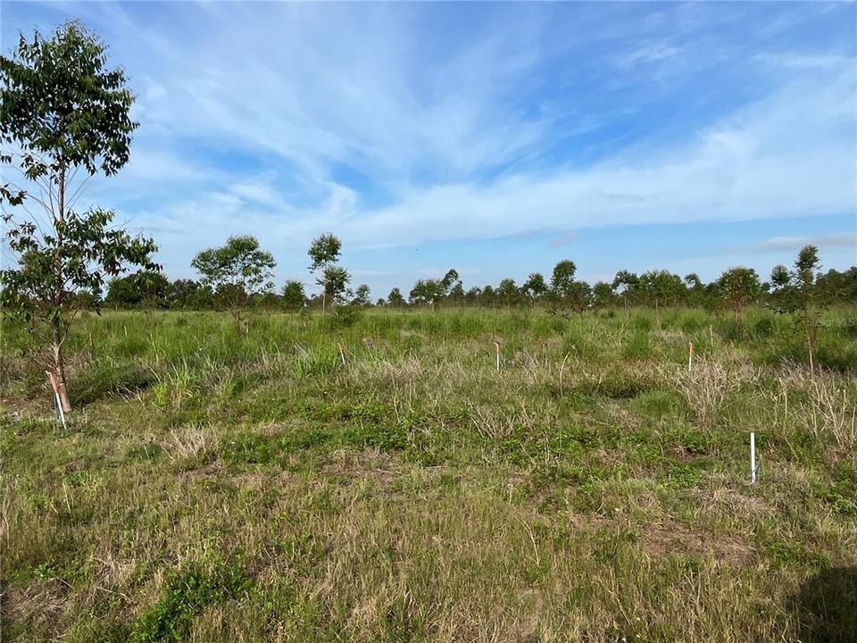 Recently Sold: $300,000 (20.10 acres)