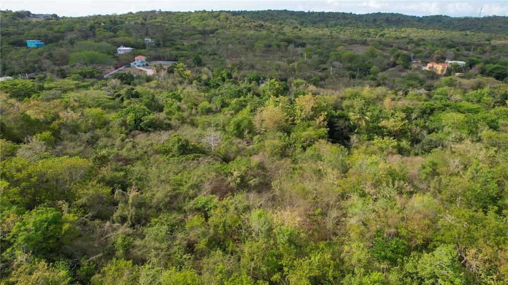 На продажу: $250,000 (3.29 acres)