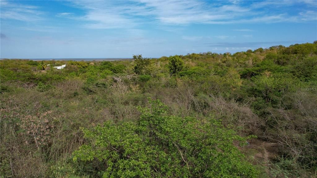 На продажу: $250,000 (3.29 acres)