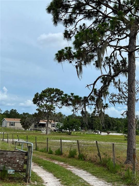 Front Home & Property