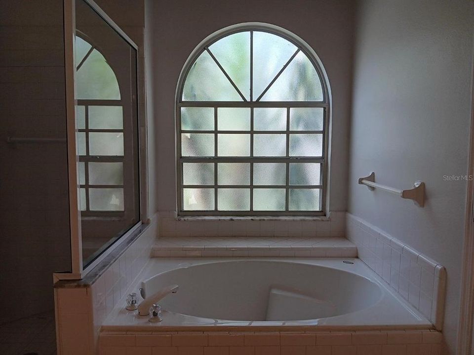 Master over-sized soaking tub beside stand-alone shower