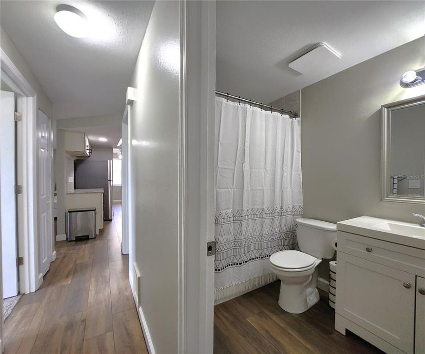 Guest bathroom and hallway
