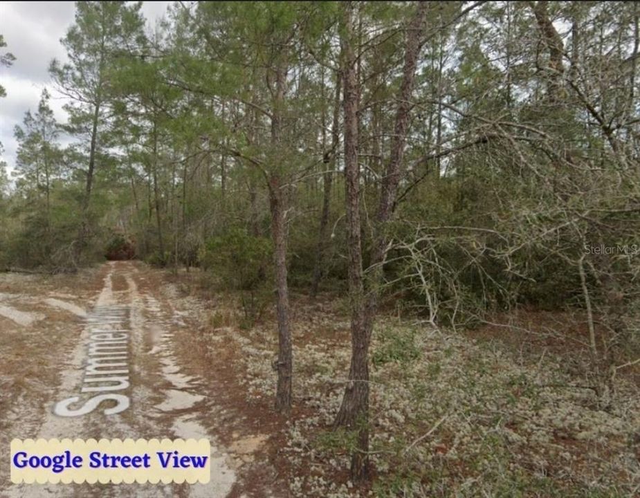 Recently Sold: $19,000 (1.02 acres)
