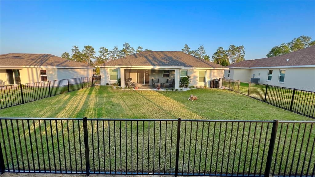 Fenced Backyard