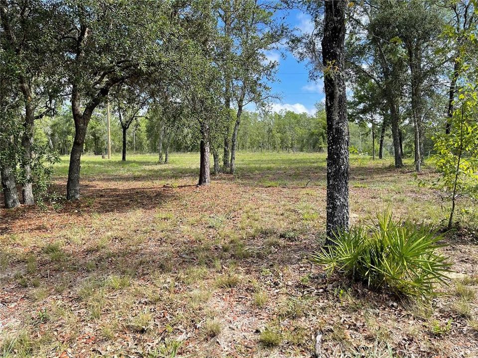 Recently Sold: $29,999 (1.25 acres)