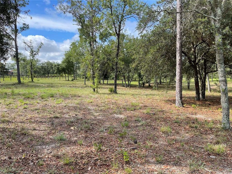 Recently Sold: $29,999 (1.25 acres)