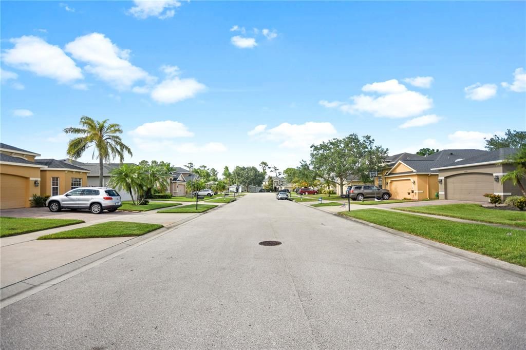 View from down the street