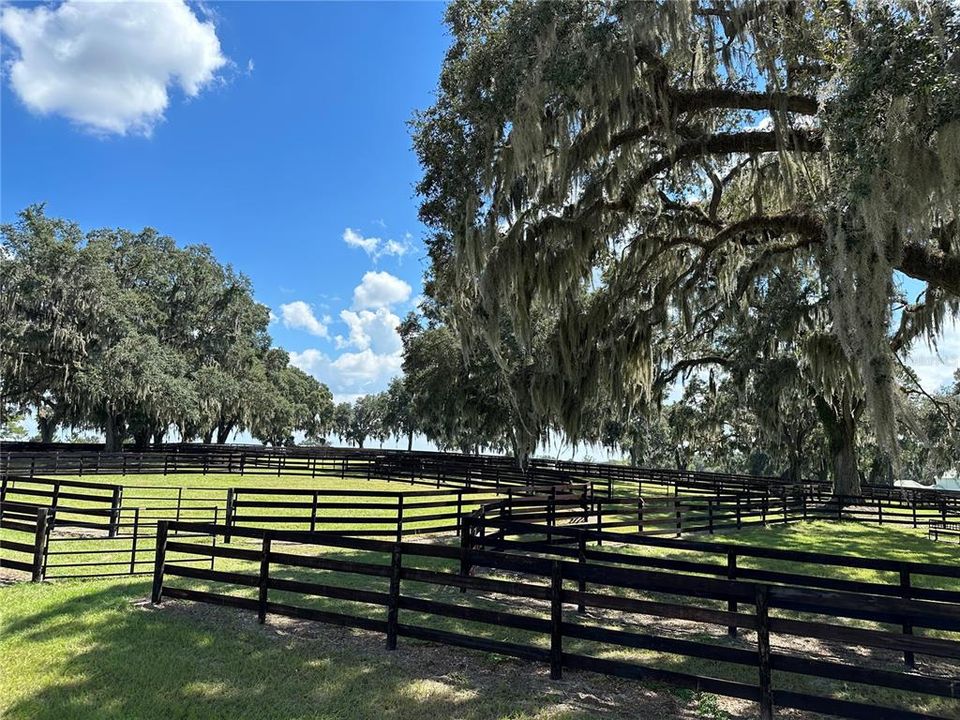 A 1/4 acre paddock included w/ each stall