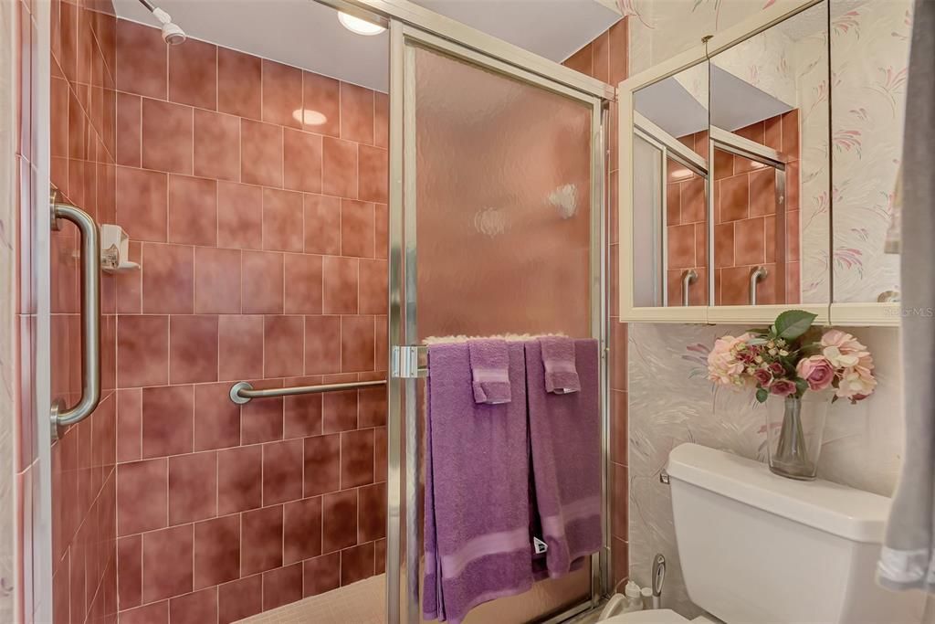 Walk-In Shower and Commode in Separate Rm