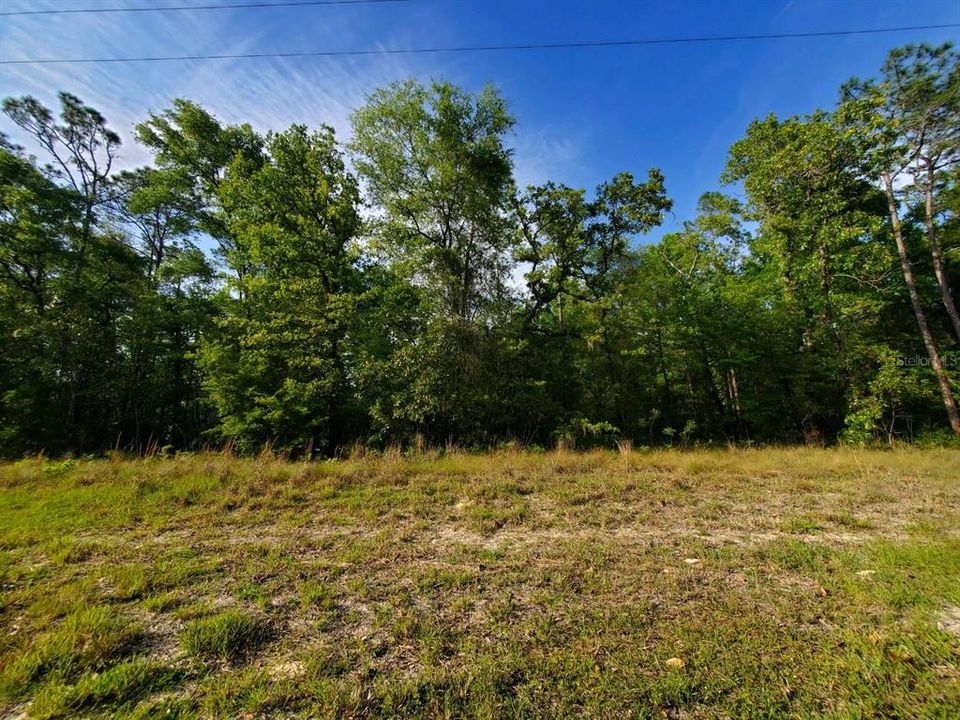 Recently Sold: $24,480 (0.92 acres)