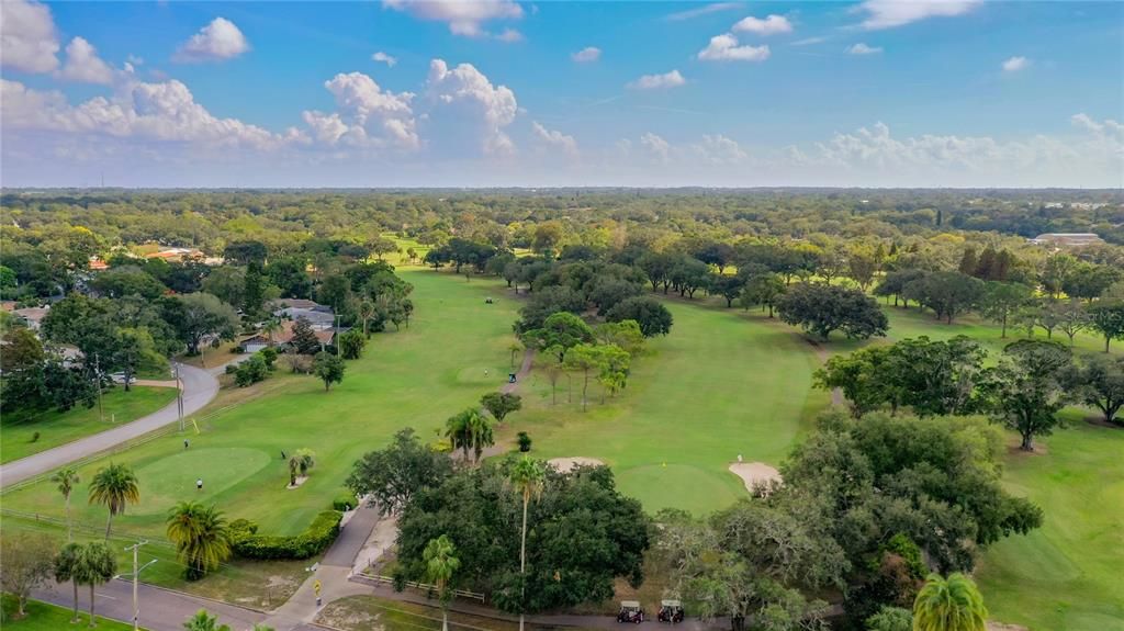 This aerial view is above the Clubhouse looking toward the front 9 of the Dunedin Golf Club.    Fairway Estates is fully within the legal Golf Cart Zone in Dunedin.   You don't even have to like golf to get a Golf Cart and get around!
