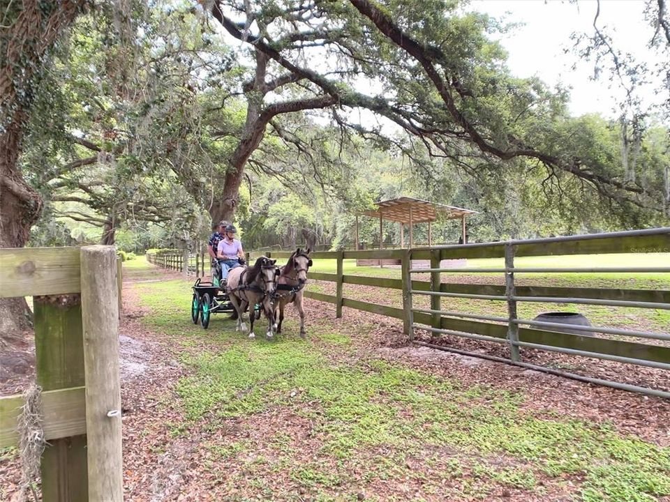 Trail leading to horse park