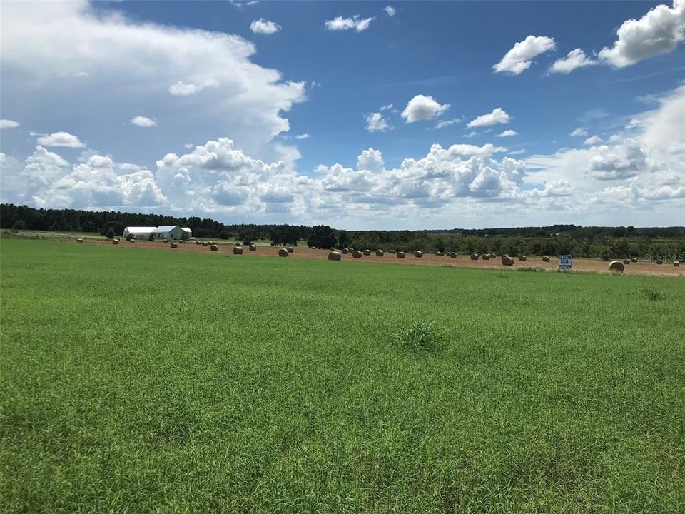 Recently Sold: $400,000 (9.63 acres)