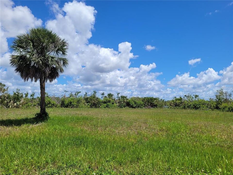 Lot 59 is cleared & in an area of wide open spaces!