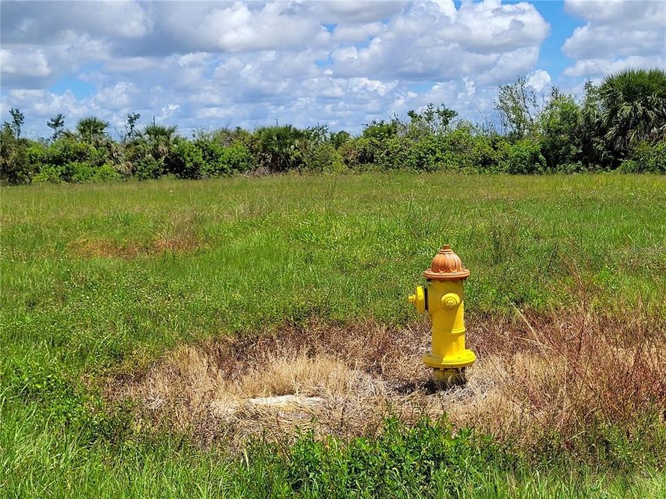Fire hydrant right in the cul-de-sac