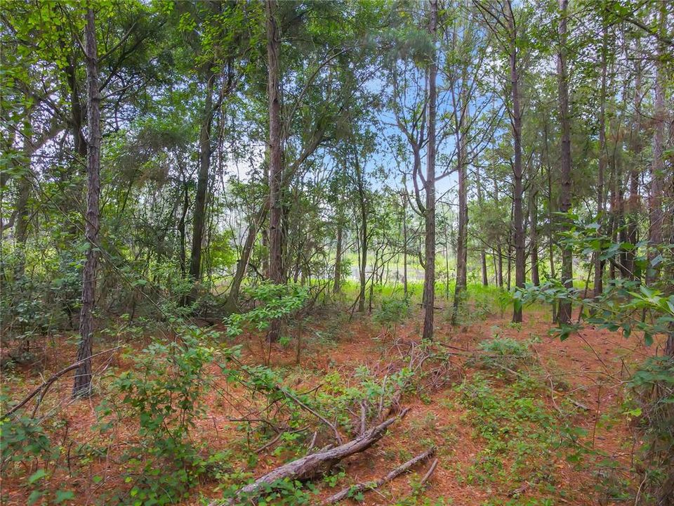 Recently Sold: $196,690 (41.02 acres)