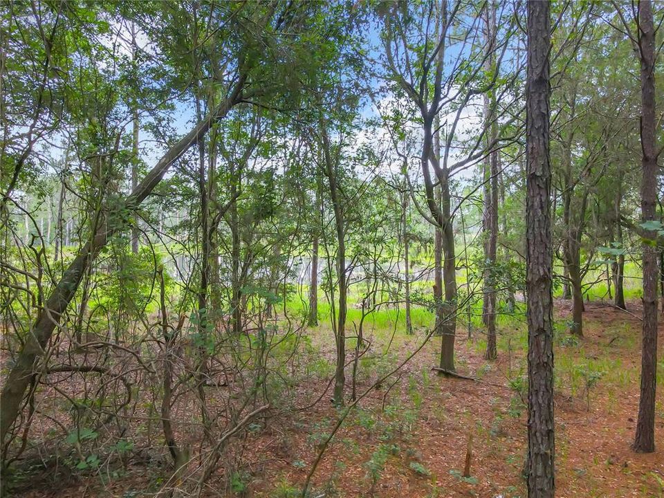 Recently Sold: $196,690 (41.02 acres)