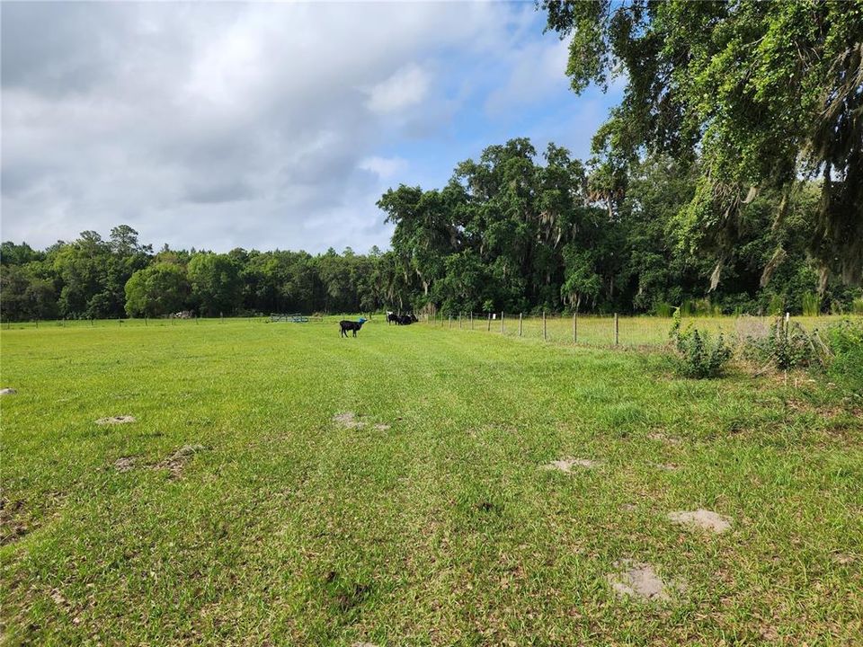 Large pasture towards 5 acre parcel at south end of property.